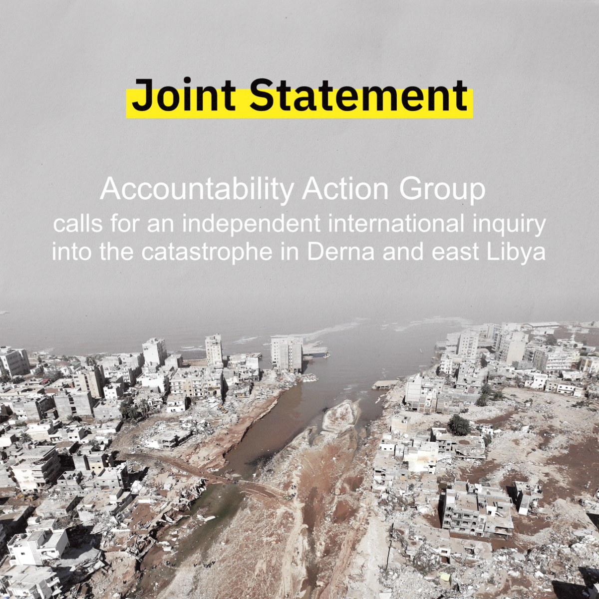 Joint Statement - Accountability Action Group