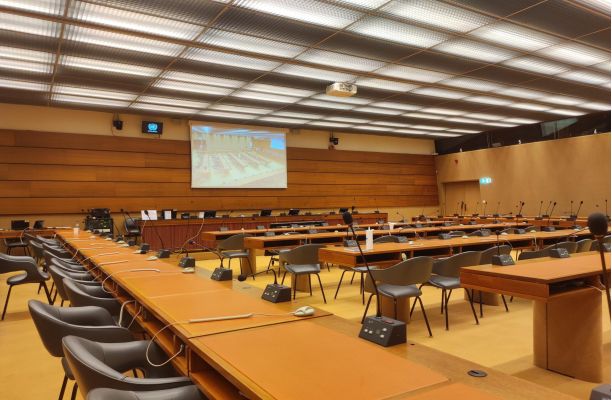 LCW calls for an international investigative mechanism during its intervention at a side event in Geneva