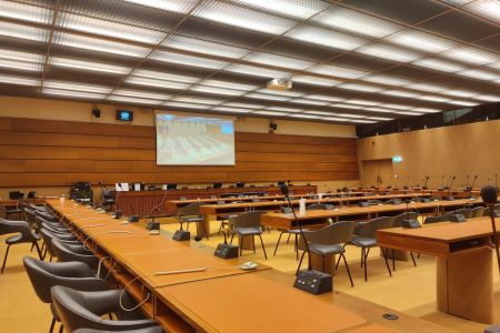 LCW calls for an international investigative mechanism during its intervention at a side event in Geneva