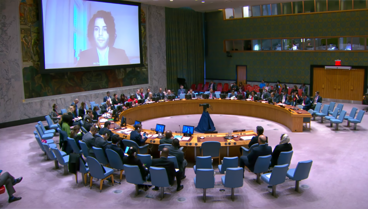 A representative of LCW delivers a briefing to the United Nations Security Council on the escalating human rights violations in Libya