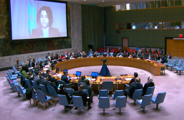 A representative of LCW delivers a briefing to the United Nations Security Council on the escalating human rights violations in Libya