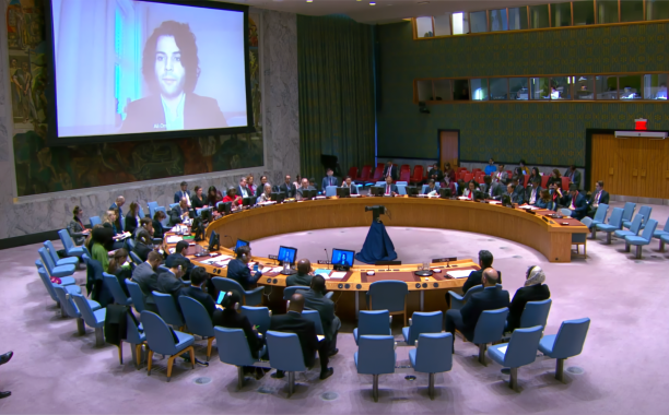 A representative of LCW delivers a briefing to the United Nations Security Council on the escalating human rights violations in Libya