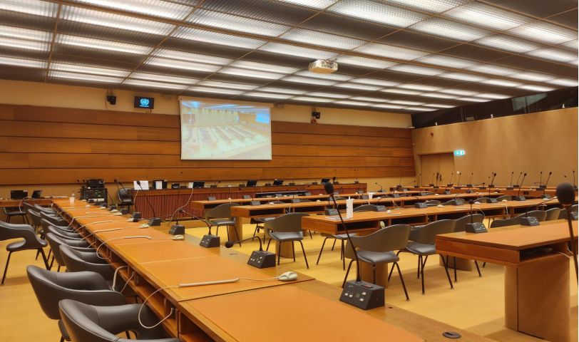 LCW calls for an international investigative mechanism during its intervention at a side event in Geneva