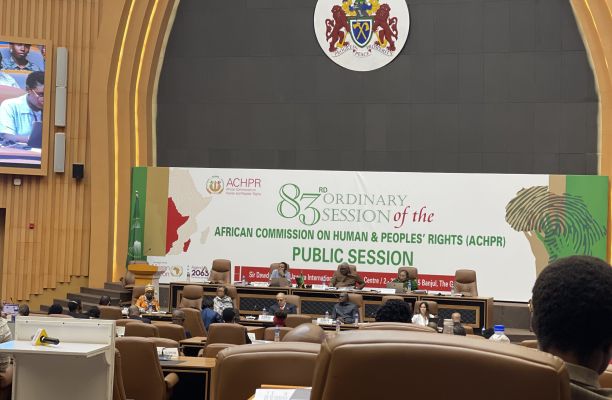 LCW Participates in Advocacy Campaign on the Sidelines of the 83rd Ordinary Session of the ACHPR