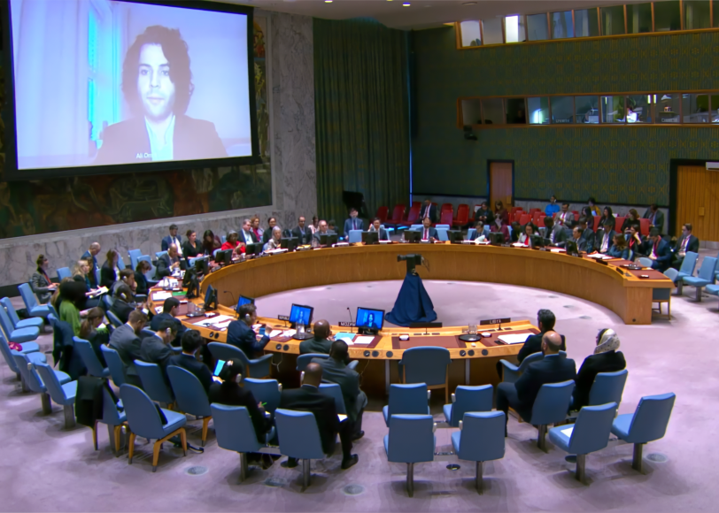 A representative of LCW delivers a briefing to the United Nations Security Council on the escalating human rights violations in Libya