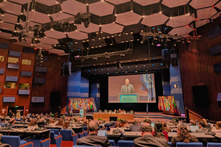 The 24th session of the Assembly of States Parties (ASP) – source: LCW archives.